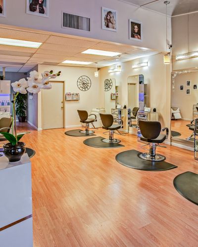 The reception and styling area of Luxe, a hair salon demo